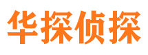 洪山市侦探